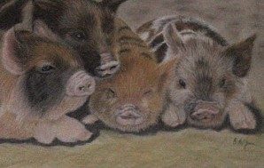 Pastel pencils, Piglets.